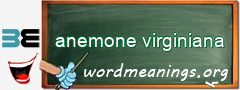 WordMeaning blackboard for anemone virginiana